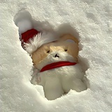 何必这么认真呢