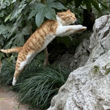 卧室烂霞祖师爷