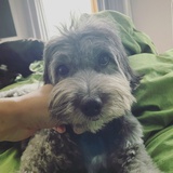 Esther