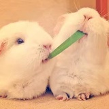 不说了