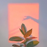 天天向上