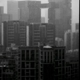 小贝子
