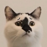 是阿爻啊