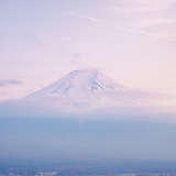 废雪