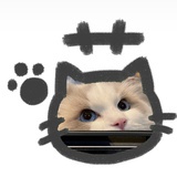糕冷Kt小猫.