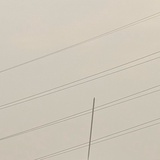 豆友