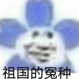 小海豹🍊