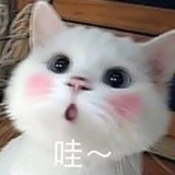 己注销