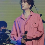 国家二级保动物野猪佩奇