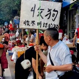 泊野