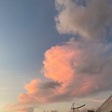 生活总会有可爱