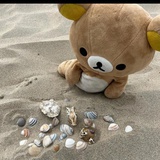 轻松熊很轻松