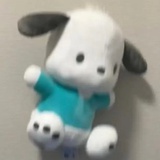 金廷祐始有终