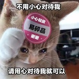 起老师