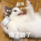 沃特哈喷
