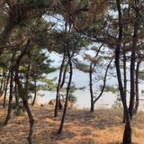 站起来