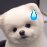 啁啾