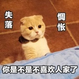 三百两银子