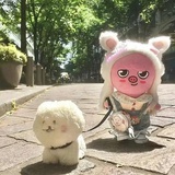 泡芙塔加冰
