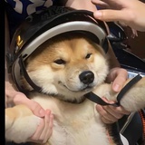 朔间小栗