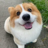 饿了要吃饼