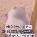 江酱降绛