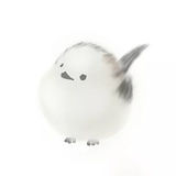 蒲绒绒