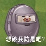 冰冻小桔子