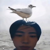 不要打我
