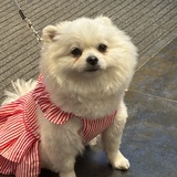 大小鱼不见了