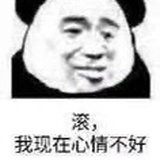 鸽子骑小猪
