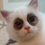 已注销