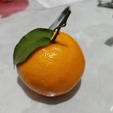 咕咕dudu