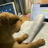玛卡巴卡