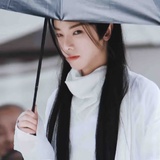 快乐的逗猫