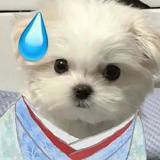 熬夜睡觉