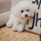 ANY♥