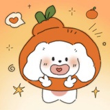 一兜子橘子🍊