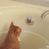 憋管我了盒盒