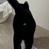 神奇冷漠