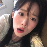 人淡如菊