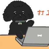 猫猫狗狗🐩