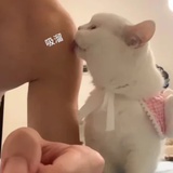 坂田银时