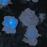 幻戏