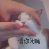 我jio的不行