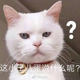 地狱恶犬喵喵桑