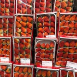 草莓味