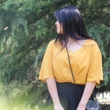 杨小北