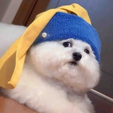 一寸相思