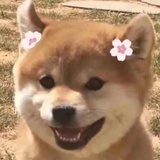 momono